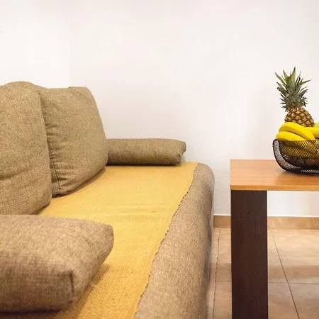 Apartment Turic *